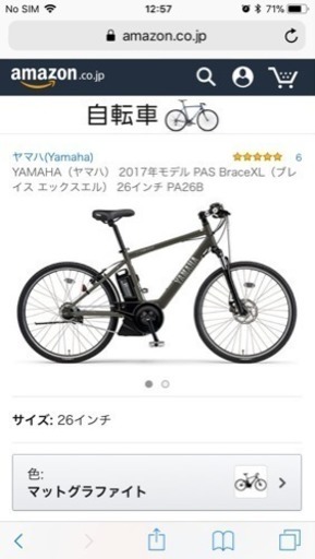 ヤマハ PAS BRACE