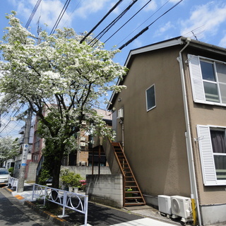 陽のあたるかわいいお家です！緑豊で閑静な住宅地　中目黒からは住宅...