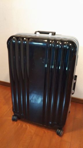 大型キャリーバック