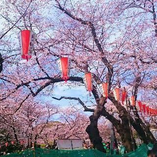 3/31 あにおたお花見オフ@昭和記念公園 - 友達