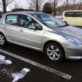 プジョー 307 フェリーヌ 2.0 後期  53000km