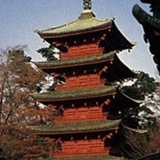 ☆４月５日(木) 中山法華経寺「桜を描く」スケッチ　参加者募集中☆