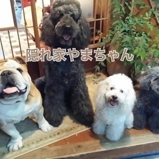 ★ペット同伴OKのレンタルスペース★セミナー、オフ会、女子会、忘...