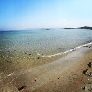 Surf-Swim-Schoolの画像
