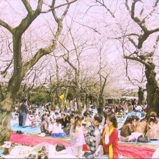 4/1(日)上野公園花見大会🌸