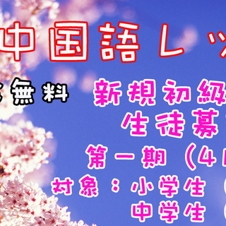 子供中国語レッスン（新規初級クラス　生徒募集中）入学金無料!!!