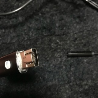 マイクロカメラの画像