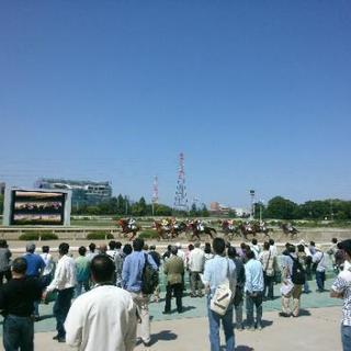 競馬友達