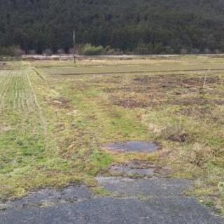 (値下げ‼️)田んぼ、畑売ります❗(畑にも、果樹園等々、農産物や花ならOK)            - 不動産