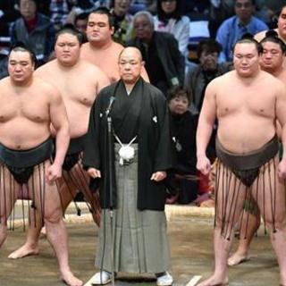 相撲好きな方！ - 台東区