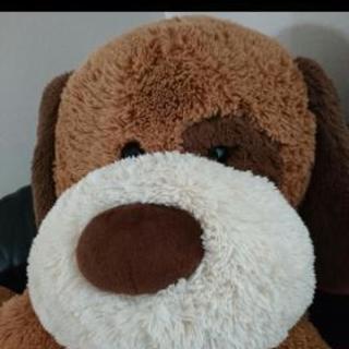 【大幅値下げ】コストコ　特大ぬいぐるみ　犬の画像
