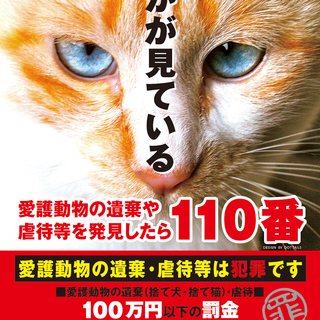 緊急！明日！動物愛護関連法改正院内集会があります。