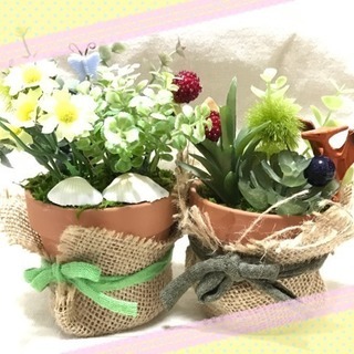 🌿ボタニカル寄せ植え教室🌿