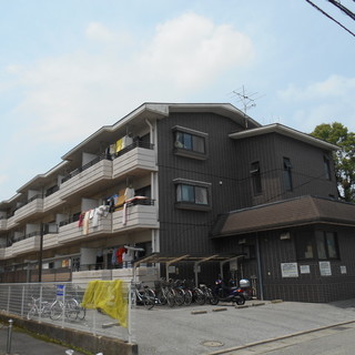 入居費用0円キャンペーン中!
