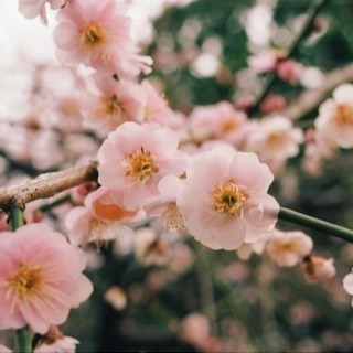 写真＊カメラ友達