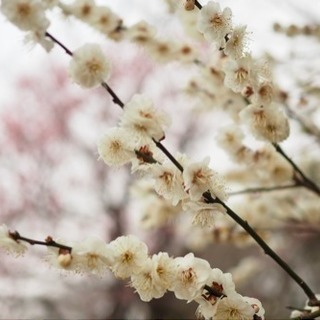 写真＊カメラ友達 - 友達