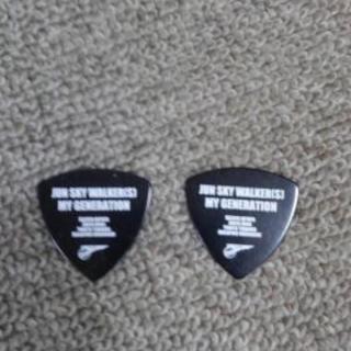 ジュンスカ　ピック二枚の画像