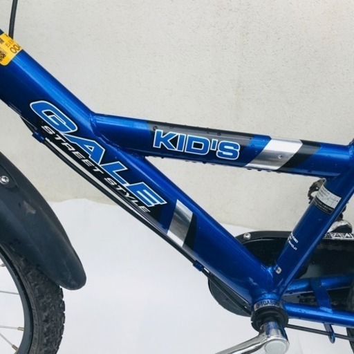 GALE STREET STYLE 18インチ 子供用自転車 (補助輪付属) (EICHIS