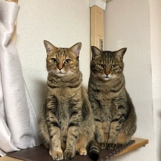 色々と楽しみたい方達へ