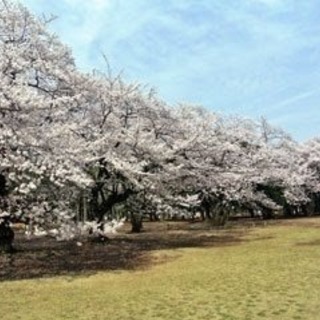 ✿暖かい季節なってきましたね✿