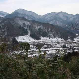 キャンプ仲間、ソロキャンパー