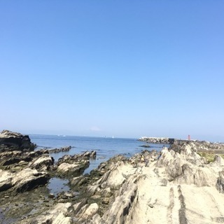 海の世界へスクーバダイビング！ - メンバー募集