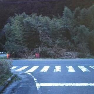 (値下げ交渉可)(太陽光発電可)多目的、土地売ります❗(太陽光発電へ転用申請可)(農用地区域外のため農地転用可、宅地可)  − 兵庫県