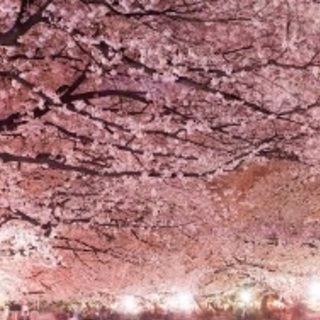 3/27 花見🌸in🌸上野公園 