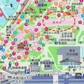 3/27 花見🌸in🌸上野公園  - 台東区