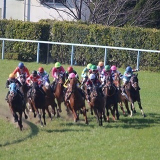 競馬