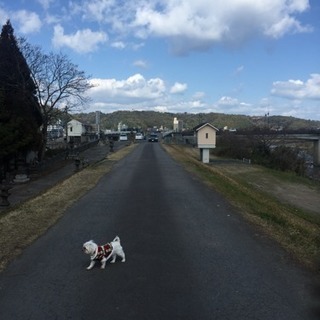 大分県限定LINEグループ募集