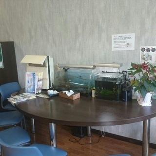 美容室を始めたい方いませんか？居抜き物件あります。 - 田原市