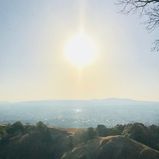 植物に詳しい方、一緒に山登りしませんか(^ ^)
