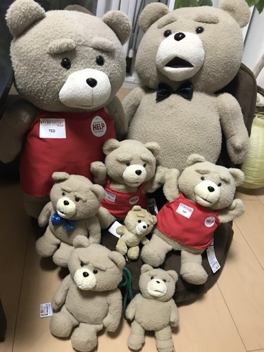 TEDのぬいぐるみセット