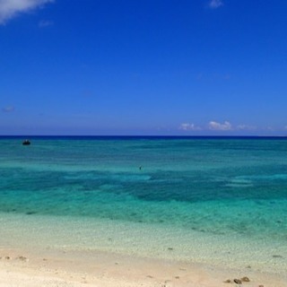 海大好き！海友募集。