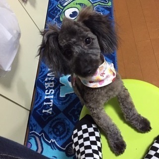 急募です!!可愛がって下さる方(/ω＼)
