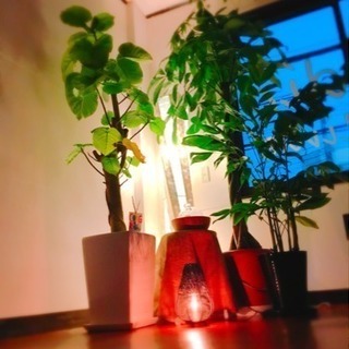 イベントレッスンのお知らせです♪の画像