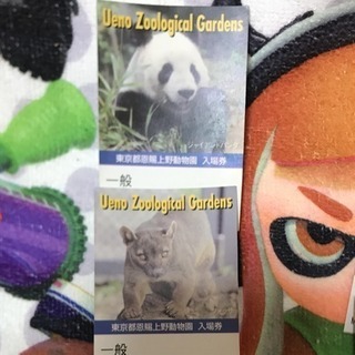 ❤️上野動物園入場券 ❤️2枚❤️