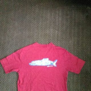 Ｔシャツ abercrombie cardinals 二枚セット Boysサイズ の画像