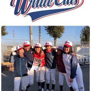 🌸杉並ホワイトキャッツ部員随時募集　中学軟式女子野球チーム🌸