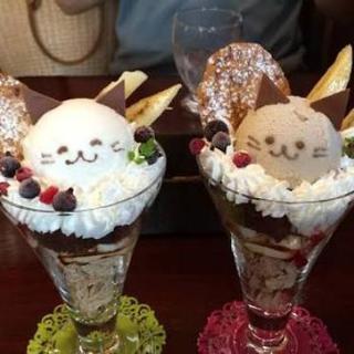 グループメンバーぼしゅうしてます( ﾟ□ﾟ)