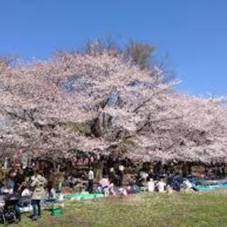 3/28(水)昭和記念公園で10時からBBQ！！！