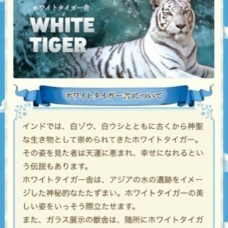ホワイトタイガーで有名な東武動物公園フリーパス3枚♬ - 府中市