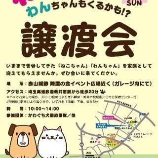 譲渡会