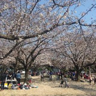 【4/15㈰】木場公園ゴミ拾いボランティア&ウォンーキング