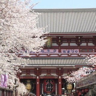 4月7日(土) お花見シーズン！浅草パワースポット巡り！お花見ウ...