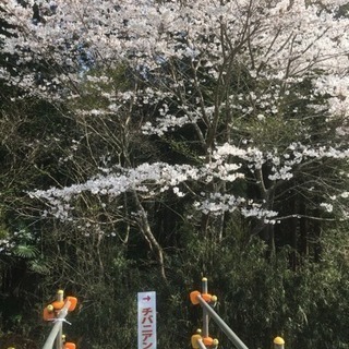 ソロツーに行って来ました！ − 千葉県