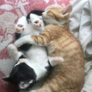 友達募集です！