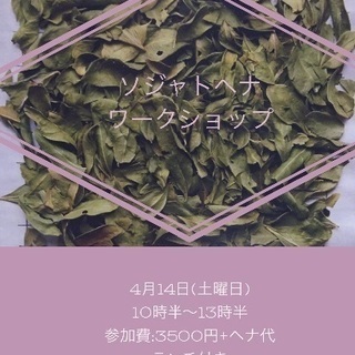 ソジャットヘナワークショップ