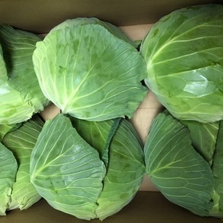 業務用の野菜・果物を配送いたします。